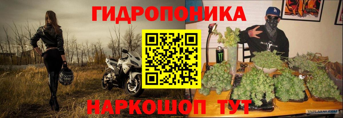 Конопля OG Kush Лениногорск